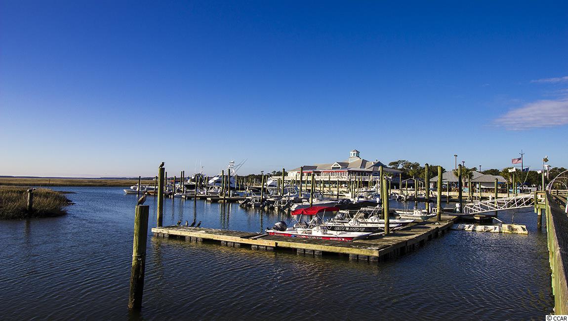 230 Star Lake Drive Murrells Inlet, SC 29576 - Photo 29 of 40 Gallery Image 29