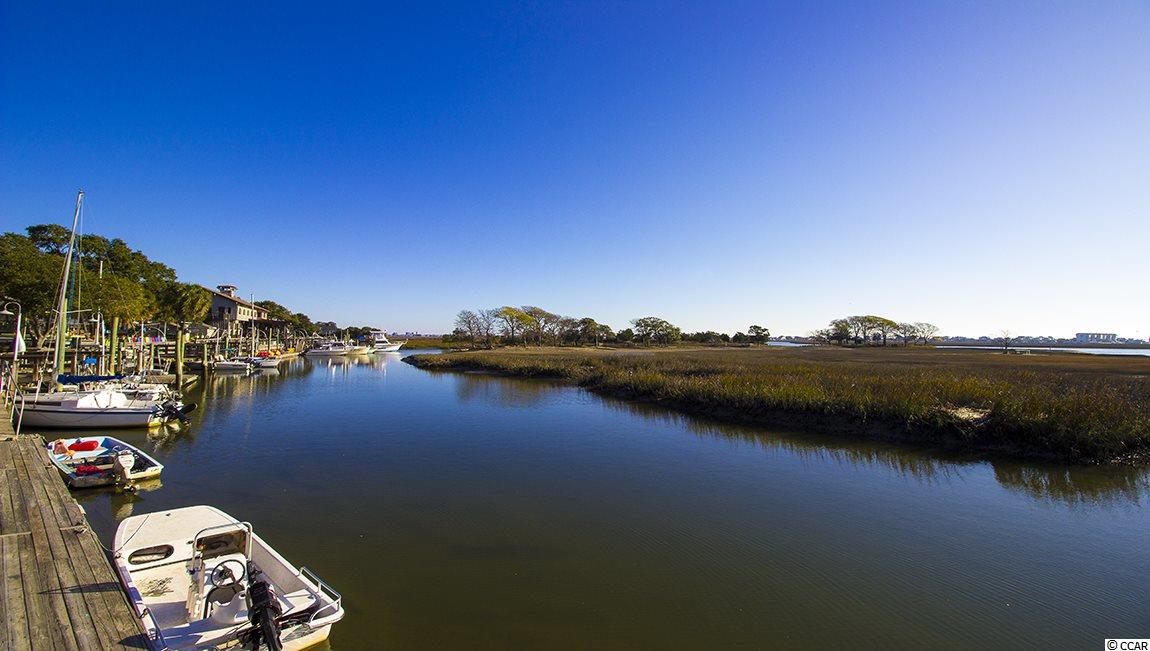 230 Star Lake Drive Murrells Inlet, SC 29576 - Photo 40 of 40 Gallery Image 40