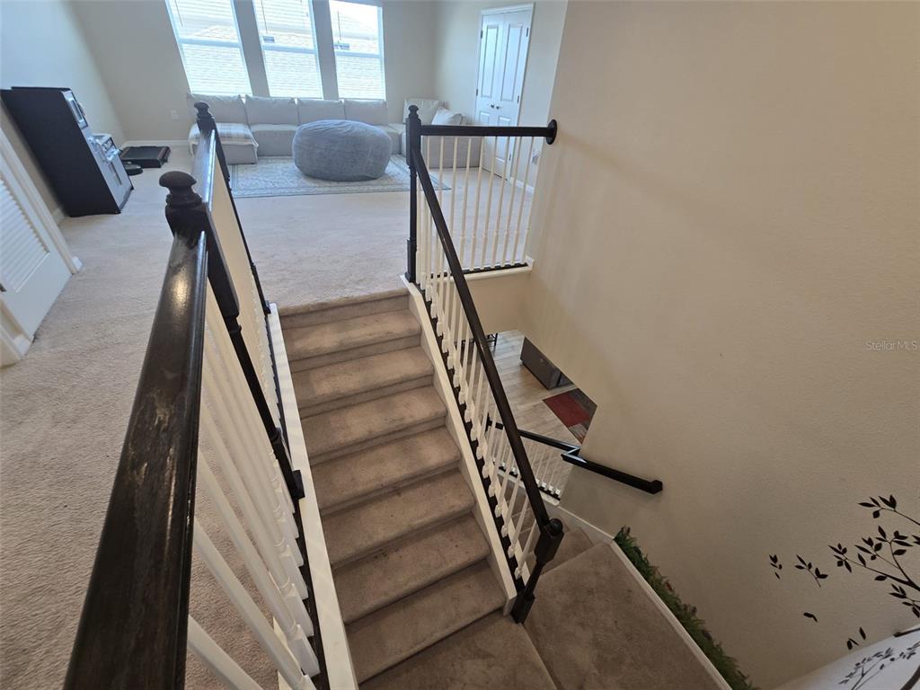 10912 Honor Road Tampa, FL 33625 - Photo 20 of 62