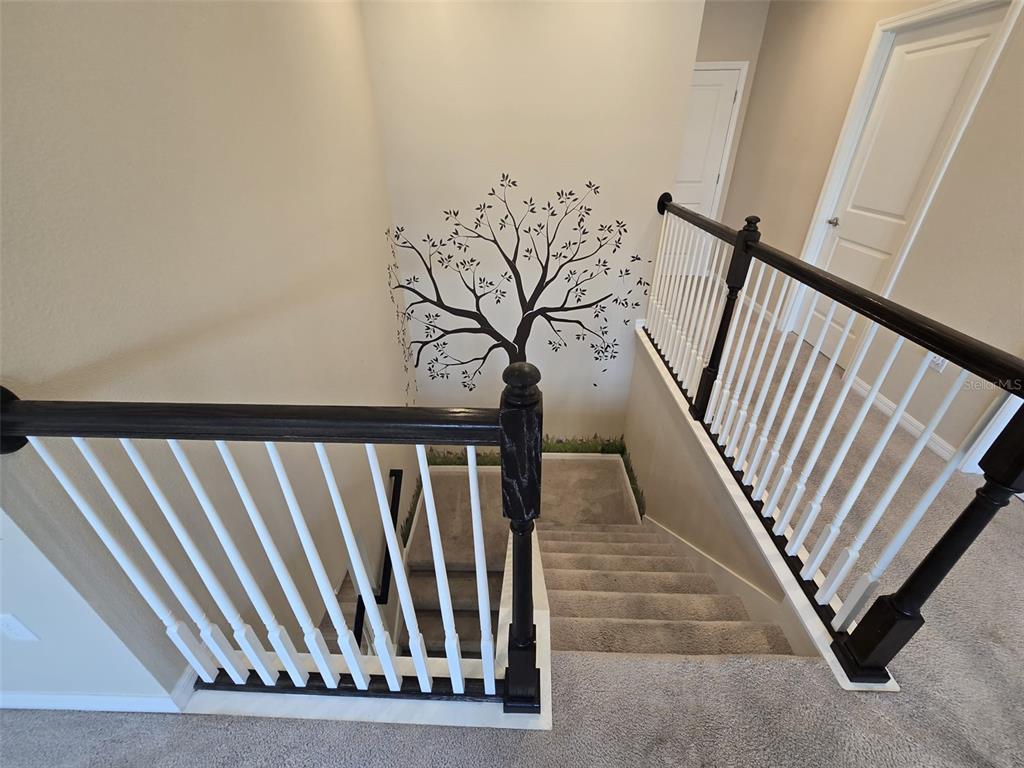 10912 Honor Road Tampa, FL 33625 - Photo 21 of 62