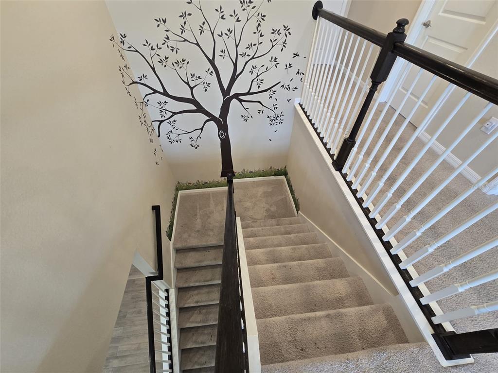 10912 Honor Road Tampa, FL 33625 - Photo 22 of 62