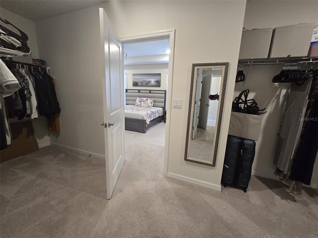 10912 Honor Road Tampa, FL 33625 - Photo 42 of 62