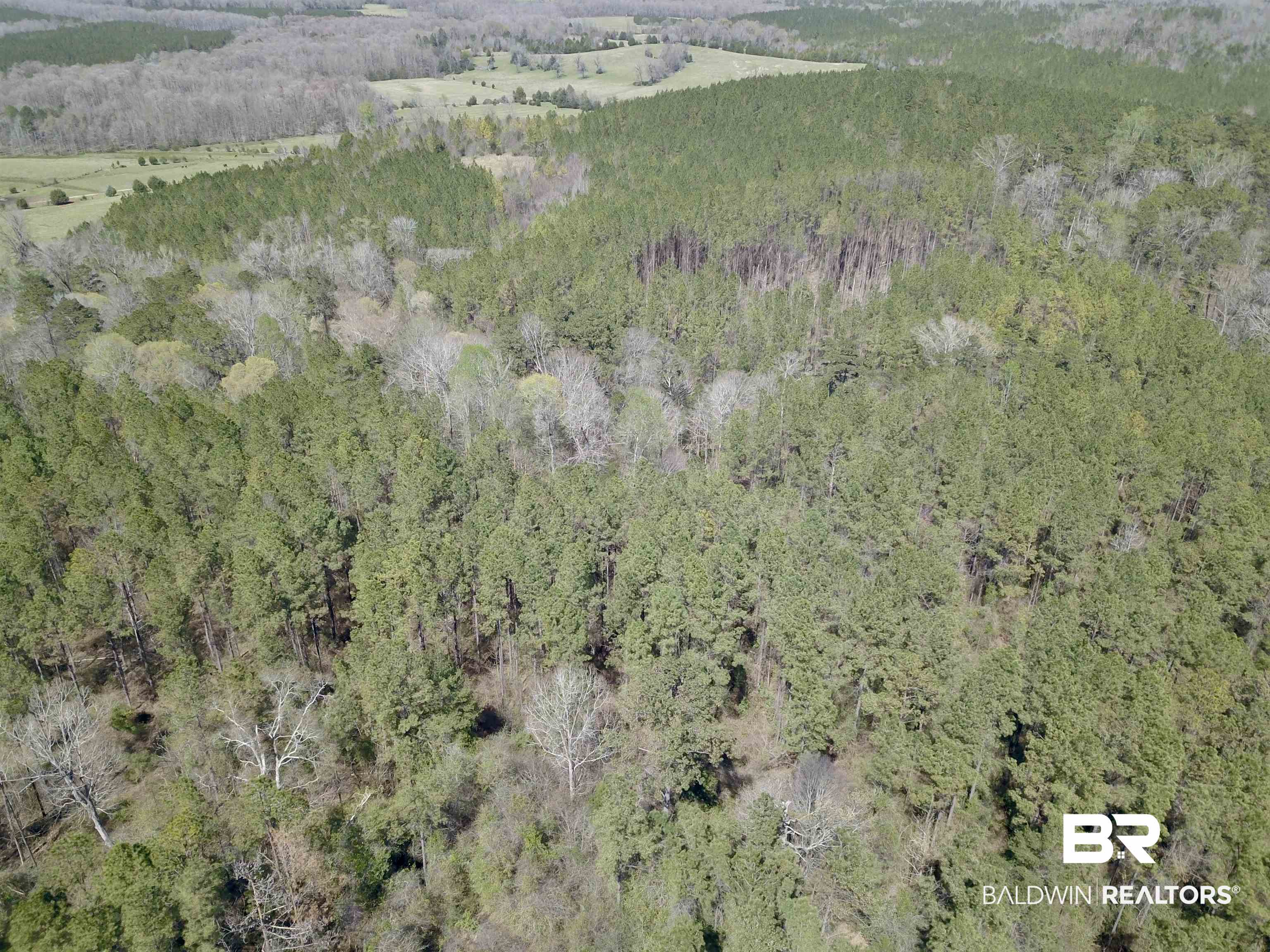 8557 County Road 34 Millry, AL 36558 - Photo 13 of 36 Bird's eye view with a view of trees