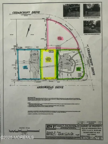 a ground with lots of trees