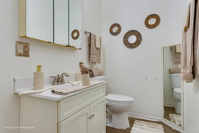 a bathroom with a toilet sink and vanity