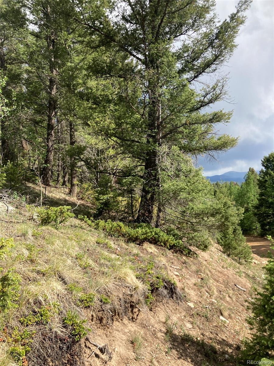 Lot 6461 Jacquez Road San Luis, CO 81152 - Photo 17 of 22