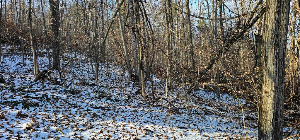 0 Jenkins Road Elmira, NY 14901 - Photo 17 of 25