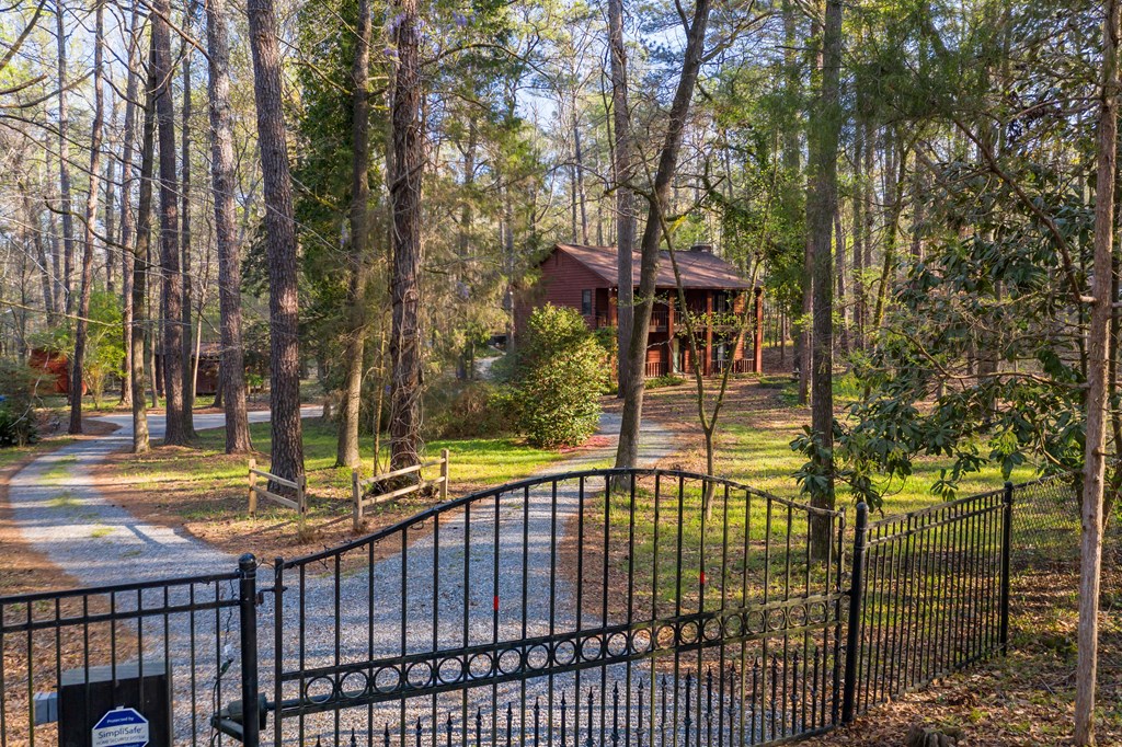 8535 Jackson Road Midland, GA 31820 - Photo 6 of 69 Electronic gate