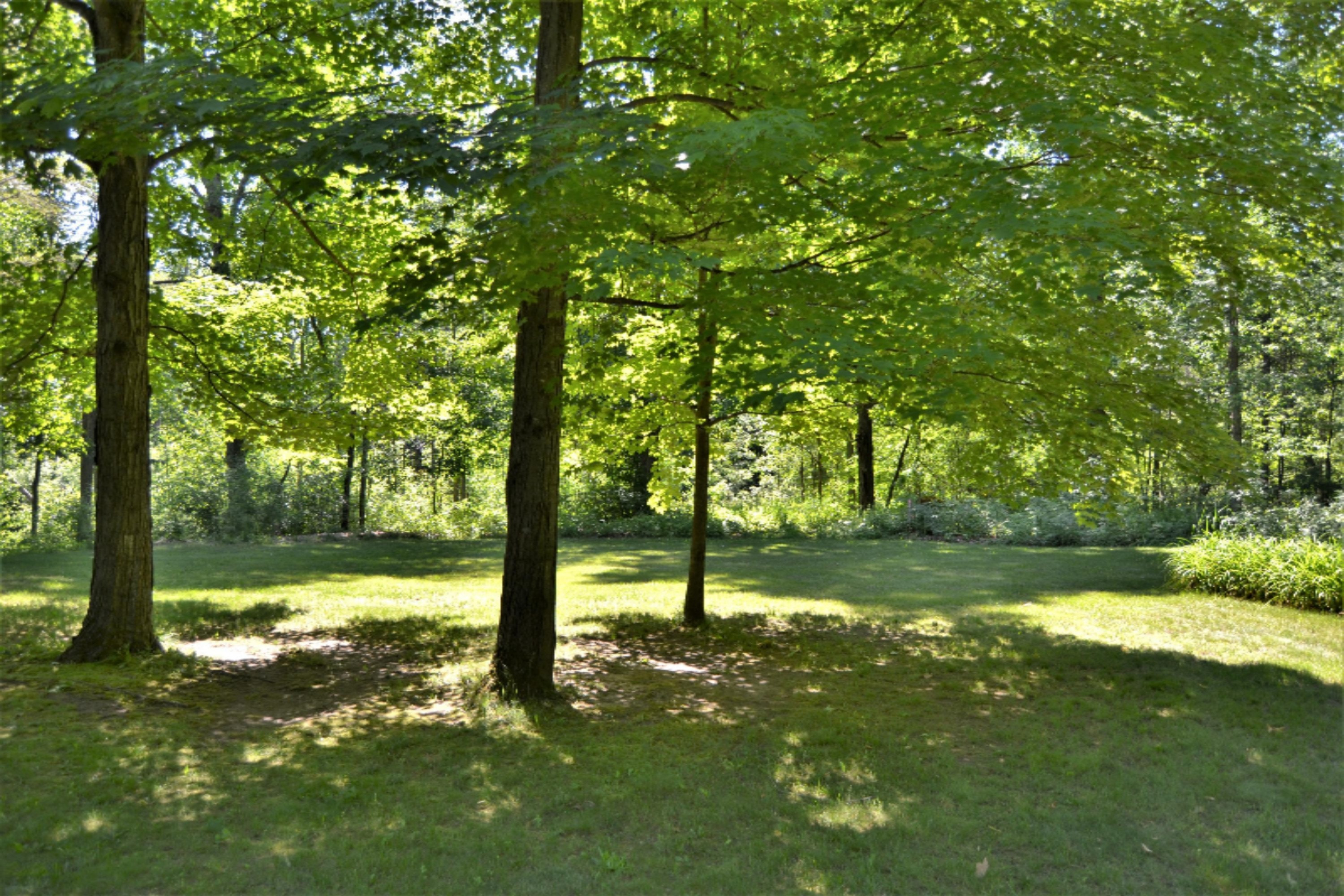 18347 5 Mile Road Morley, MI 49336 - Photo 35 of 57 DSC_0995