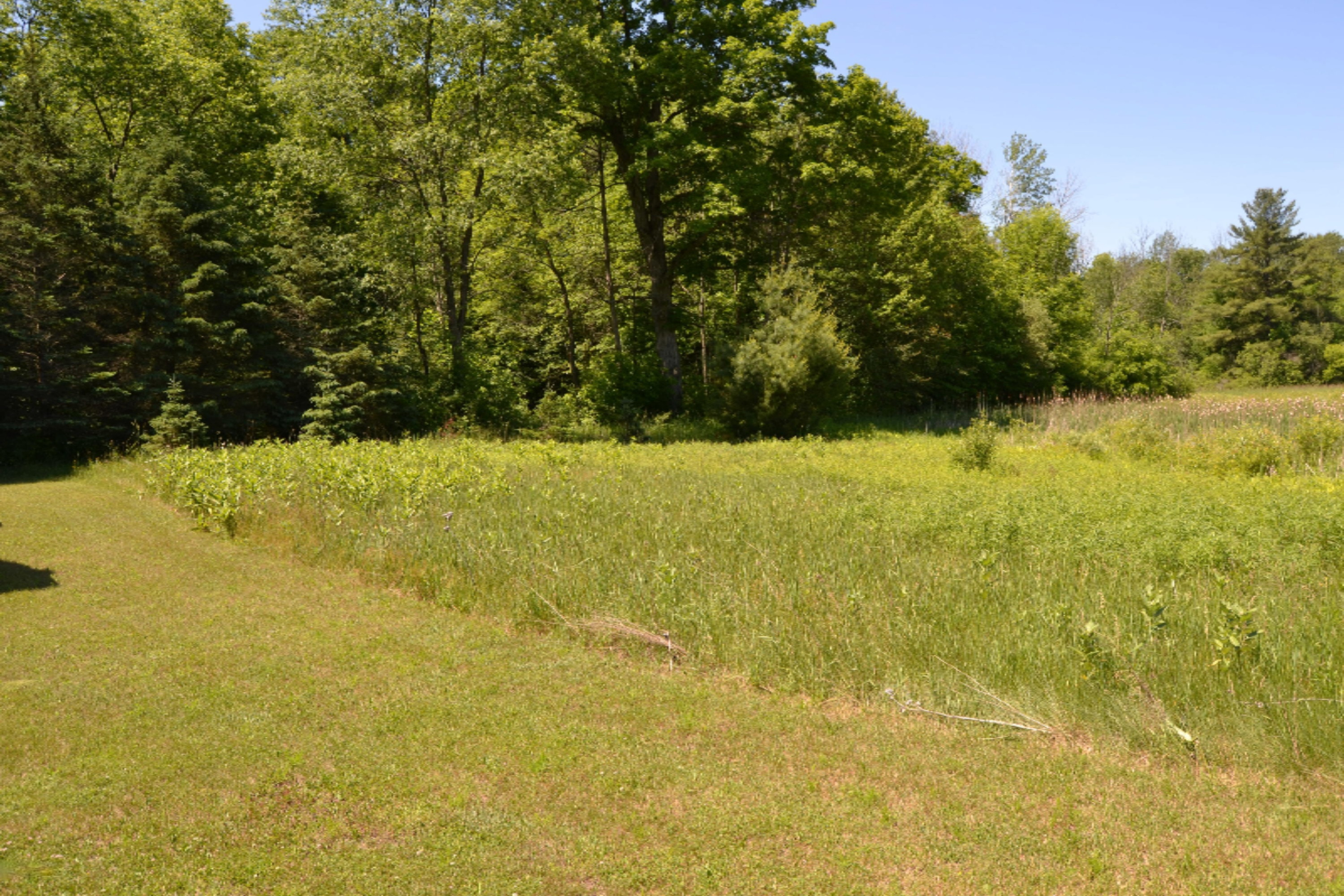 18347 5 Mile Road Morley, MI 49336 - Photo 54 of 57 DSC_1040