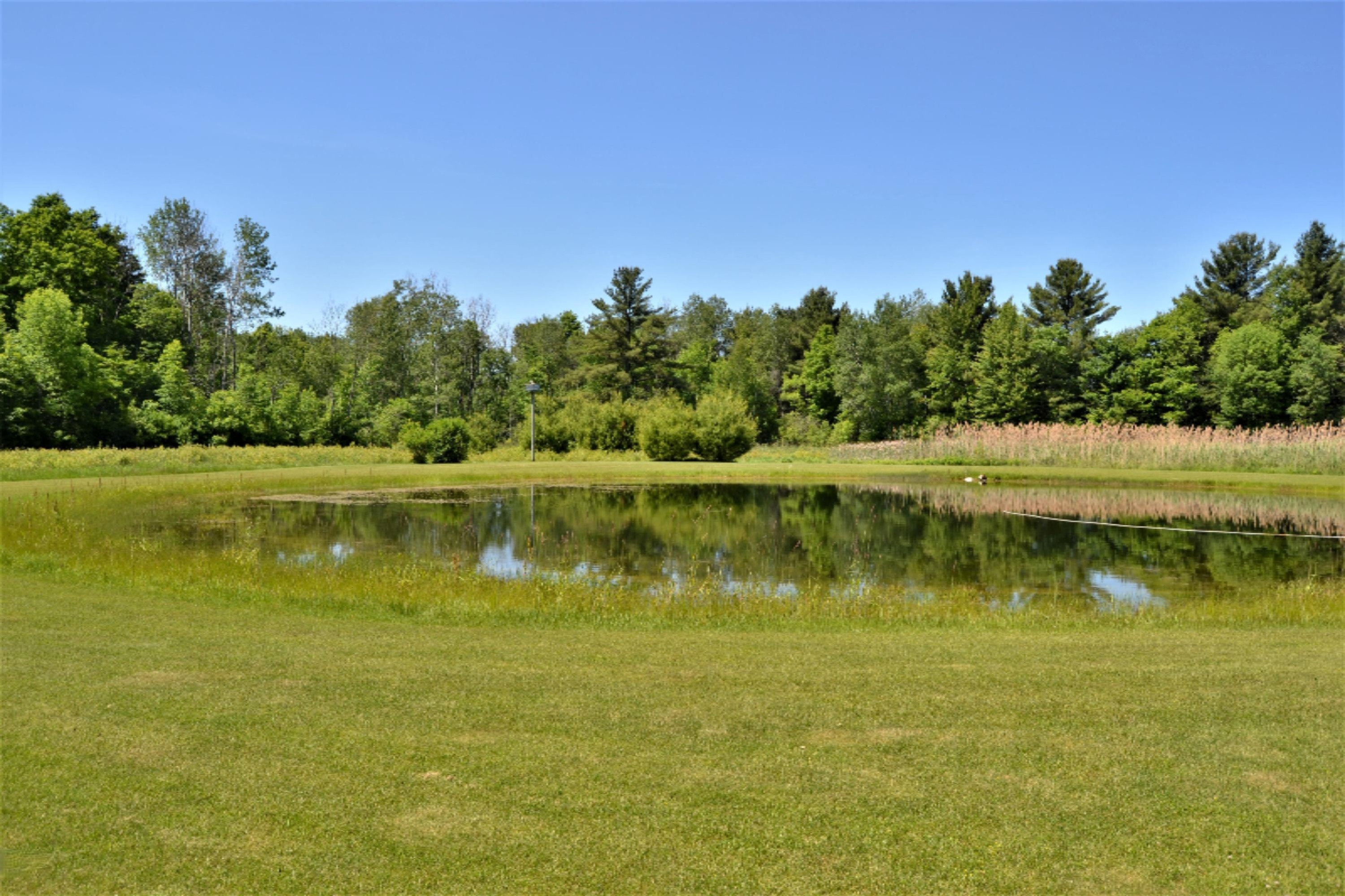 18347 5 Mile Road Morley, MI 49336 - Photo 56 of 57 DSC_1047