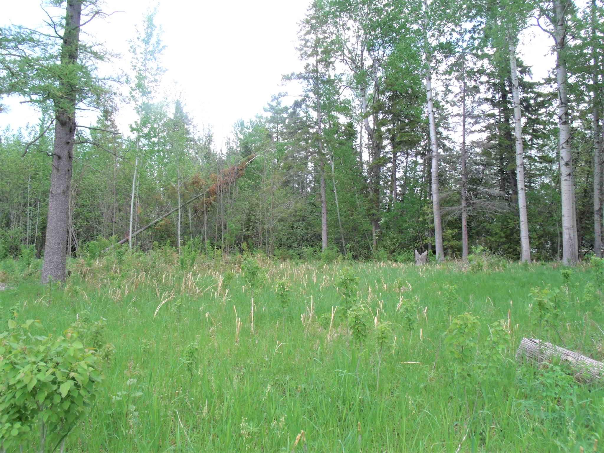 7131 McDonald Road Cheboygan, MI 49721 - Photo 11 of 34 Gallery Image 11