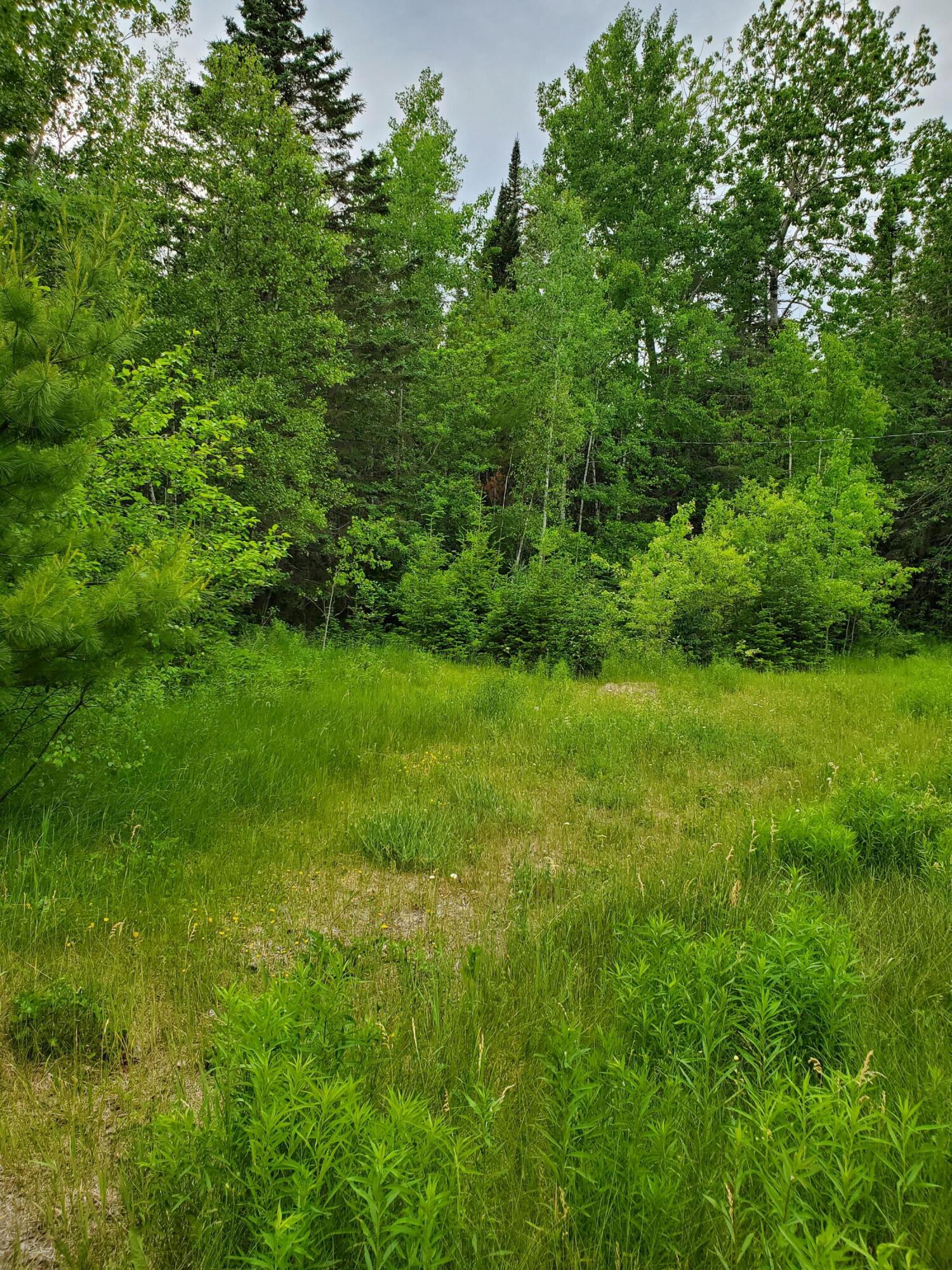 2291 Bancroft Road Wytopitlock, ME 04497 - Photo 7 of 14 20210614_151008