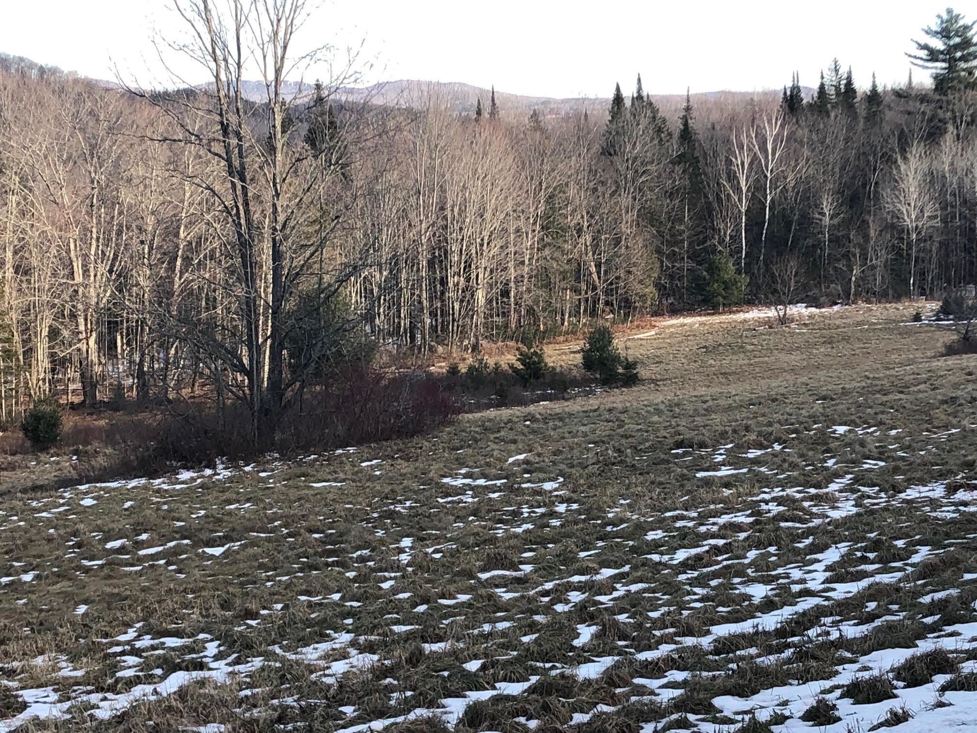 Shadow Lake Road Glover, VT 05839 - Photo 1 of 25