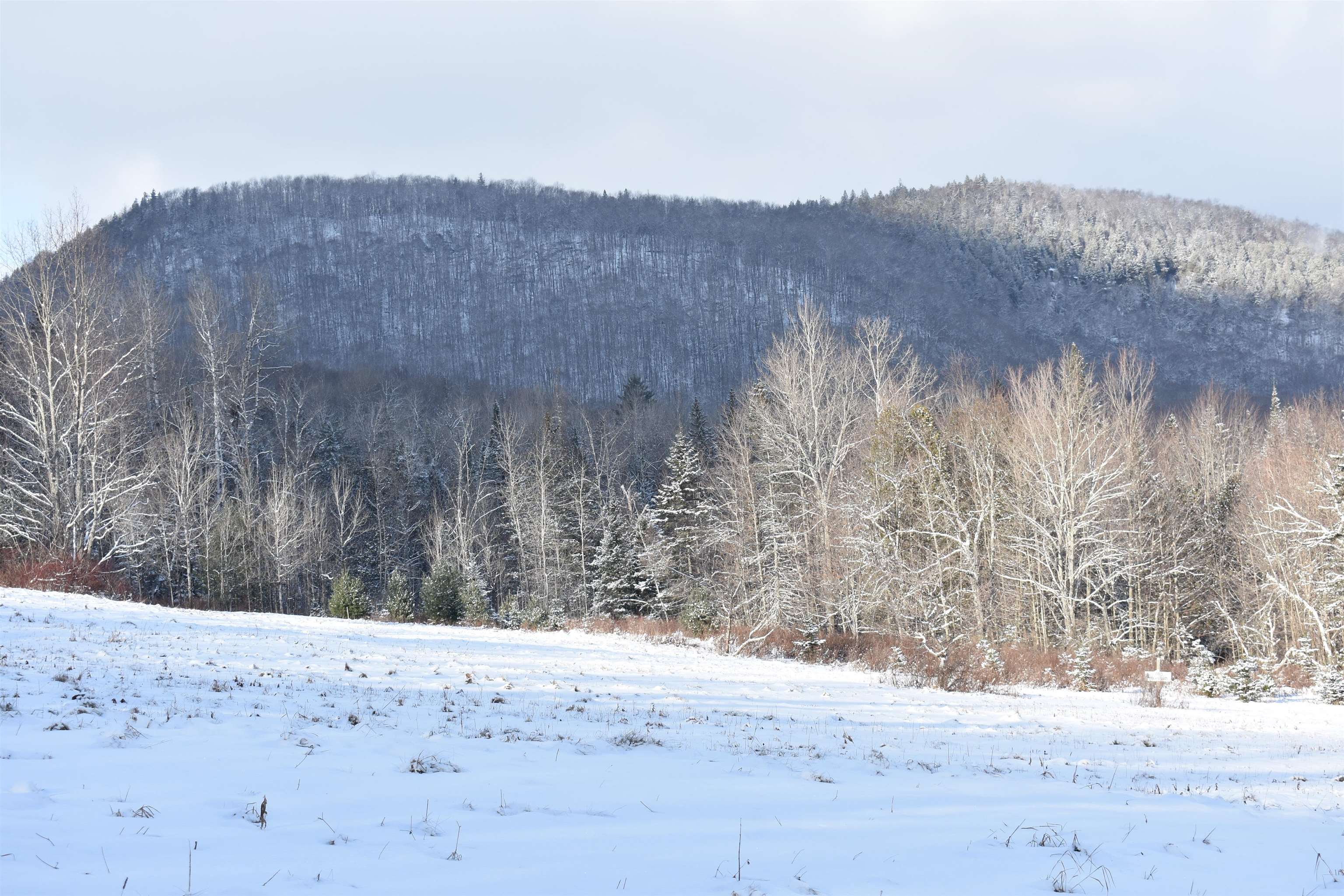 Shadow Lake Road Glover, VT 05839 - Photo 18 of 25