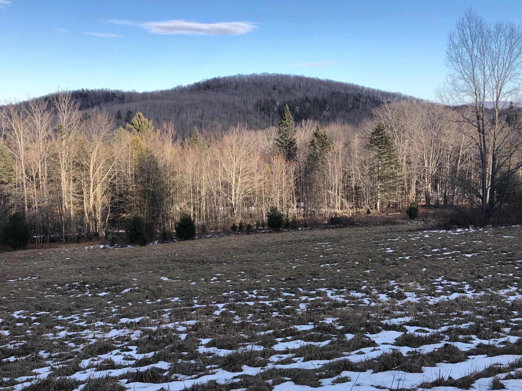 Shadow Lake Road Glover, VT 05839 - Photo 2 of 25