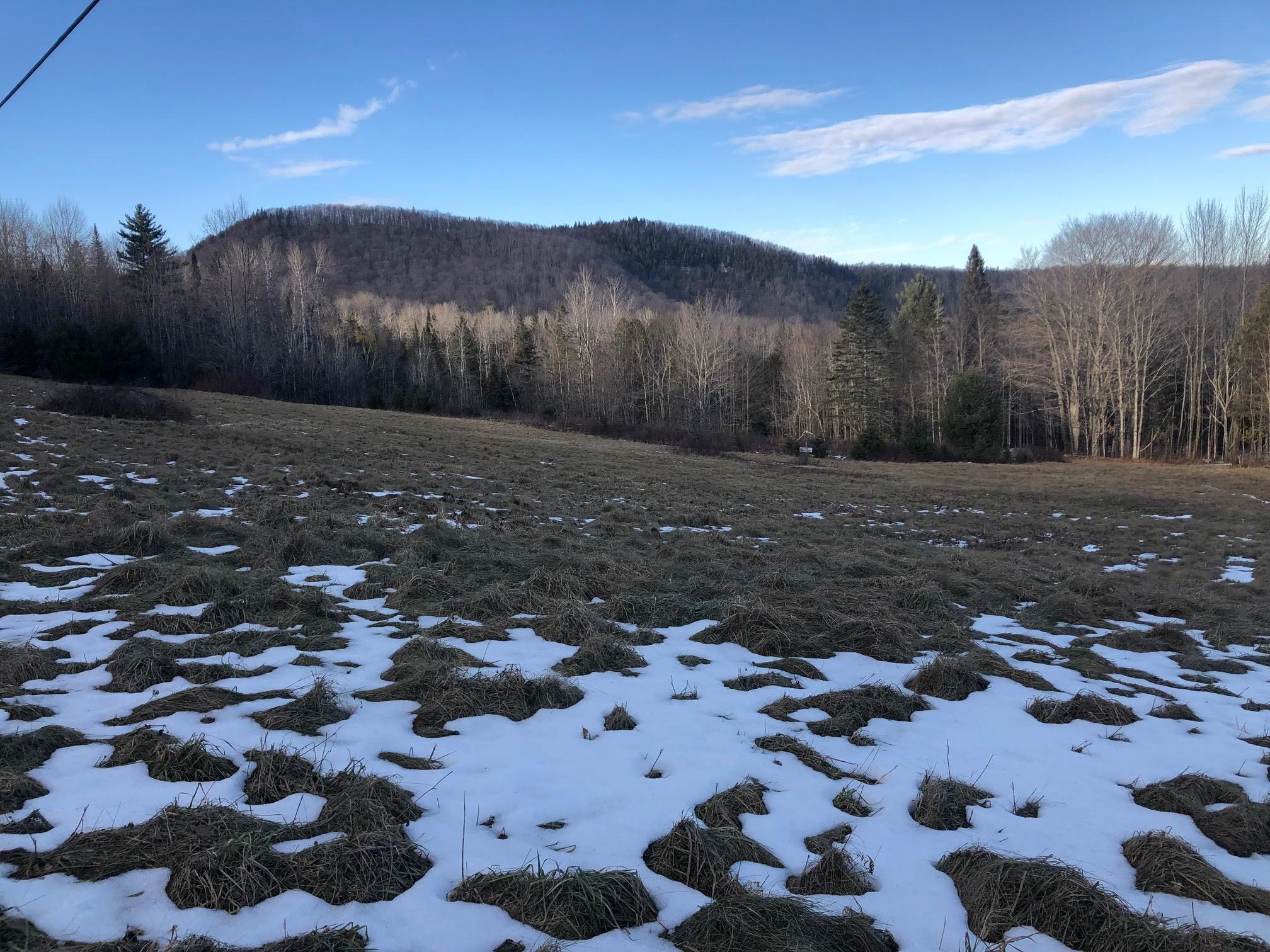 Shadow Lake Road Glover, VT 05839 - Photo 4 of 25