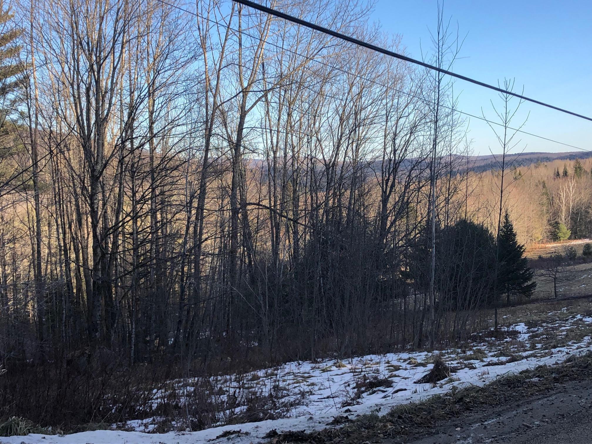 Shadow Lake Road Glover, VT 05839 - Photo 5 of 25