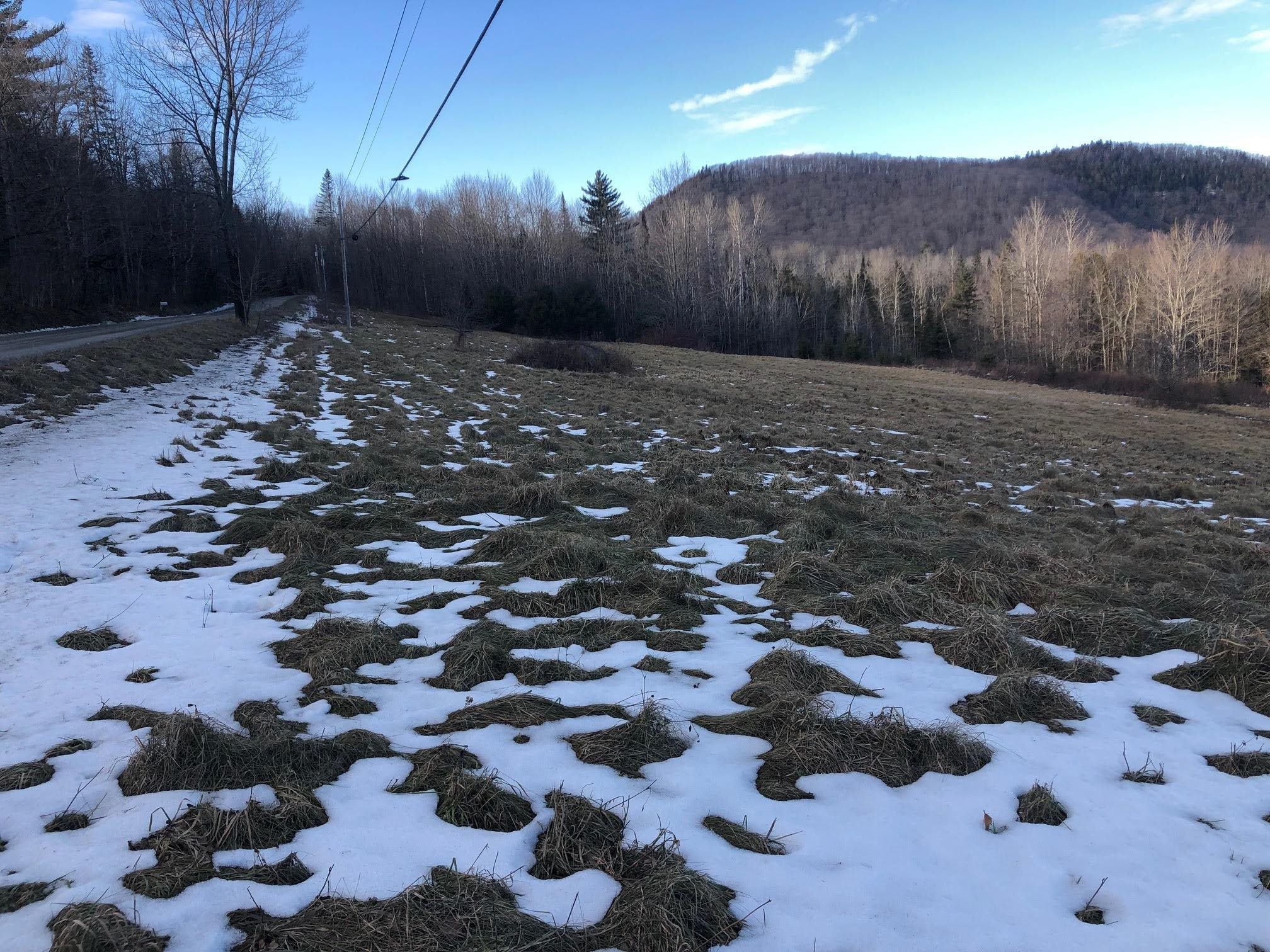 Shadow Lake Road Glover, VT 05839 - Photo 7 of 25