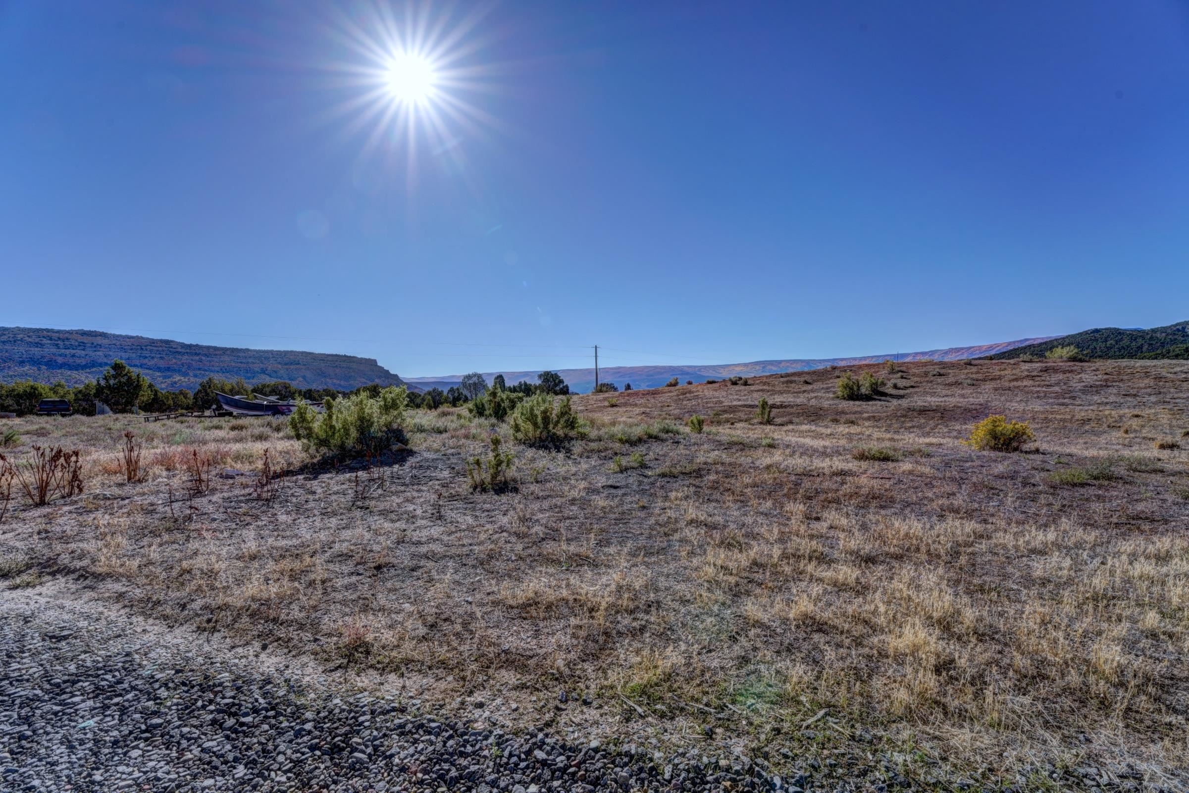 1570-45 45 1/2 Road De Beque, CO 81630 - Photo 31 of 35 a view of a dry yard with trees