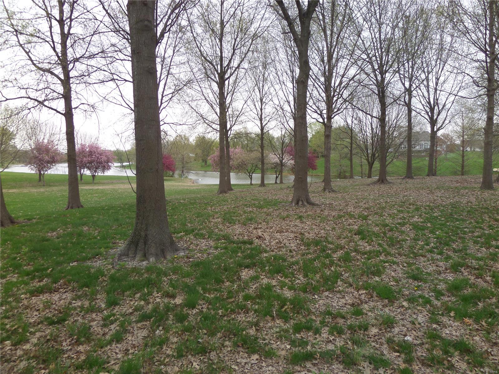 13321 Lee Road Trenton, IL 62293 - Photo 9 of 9 Gallery Image 9