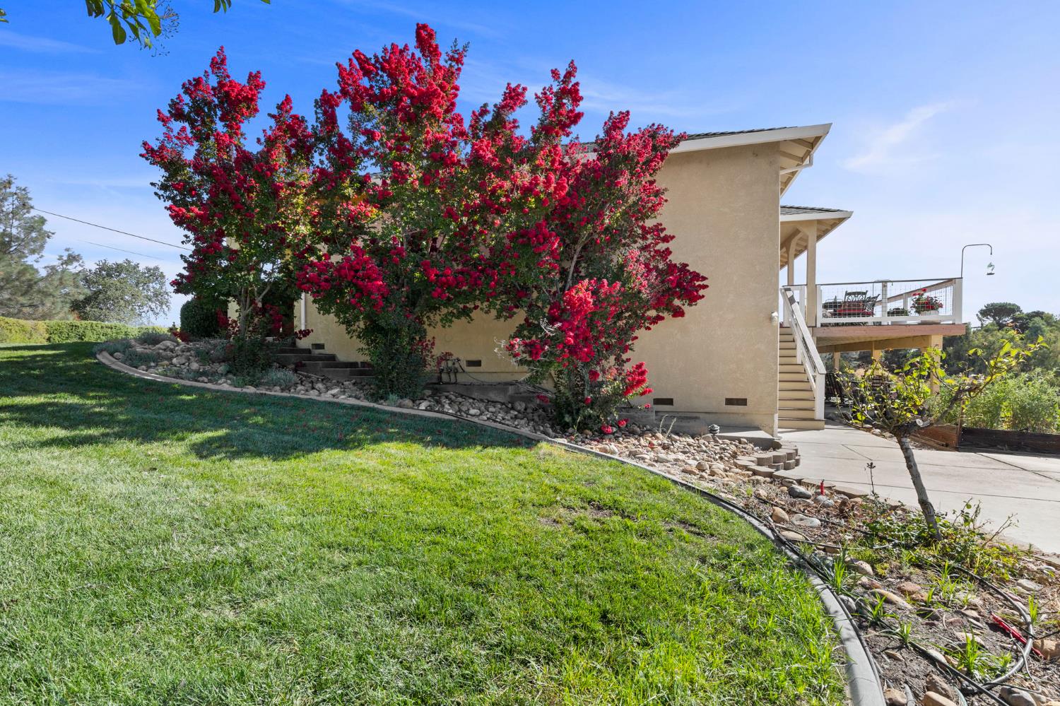 3235 Hagen Road Valley Springs, CA 95252 - Photo 28 of 40 a flower garden is sitting in the grass