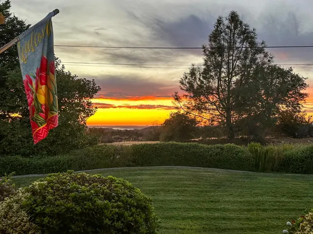 a view of an outdoor space and a yard