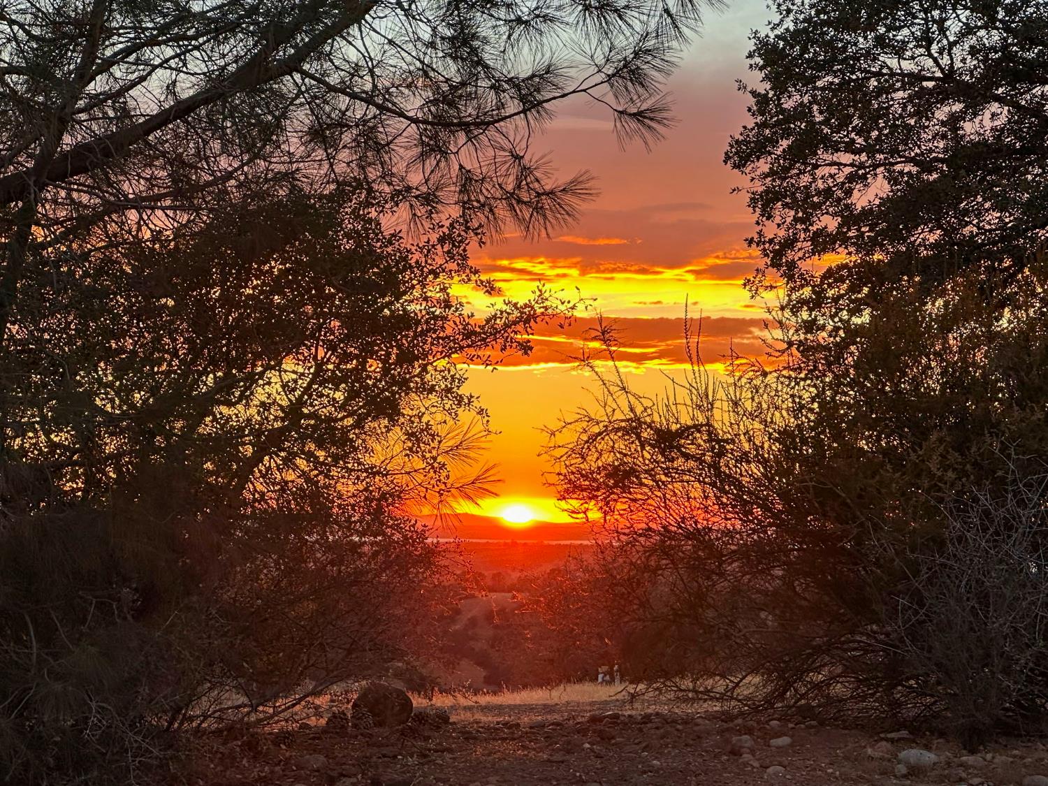3235 Hagen Road Valley Springs, CA 95252 - Photo 39 of 40 a view of a yard with swimming pool