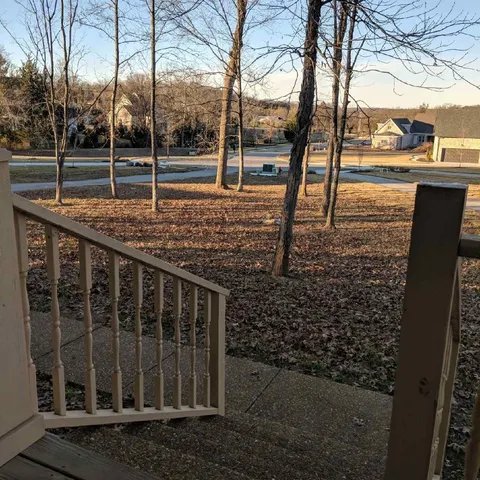 a backyard of a house with lots of green space