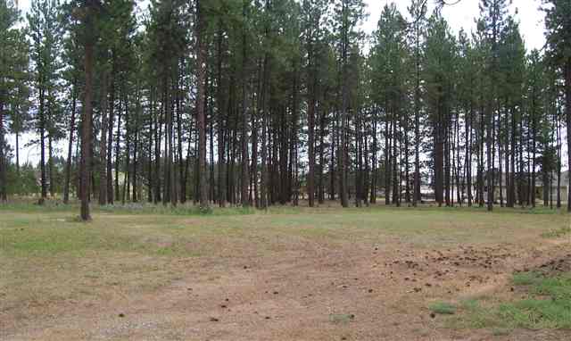 208 East Rhea Road Colbert, WA 99005 - Photo 4 of 9