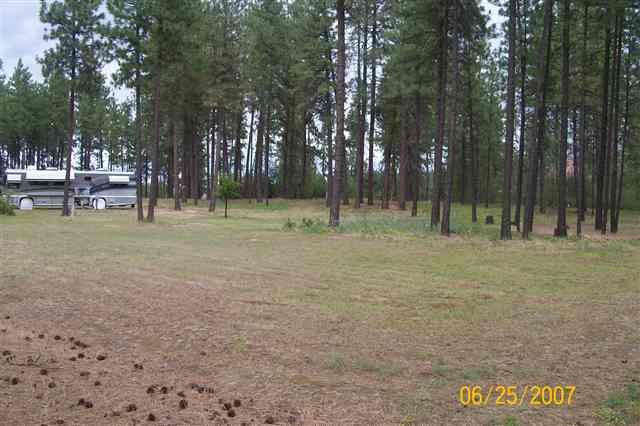 208 East Rhea Road Colbert, WA 99005 - Photo 6 of 9