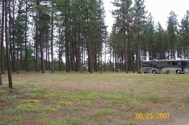 208 East Rhea Road Colbert, WA 99005 - Photo 7 of 9
