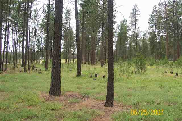 208 East Rhea Road Colbert, WA 99005 - Photo 8 of 9