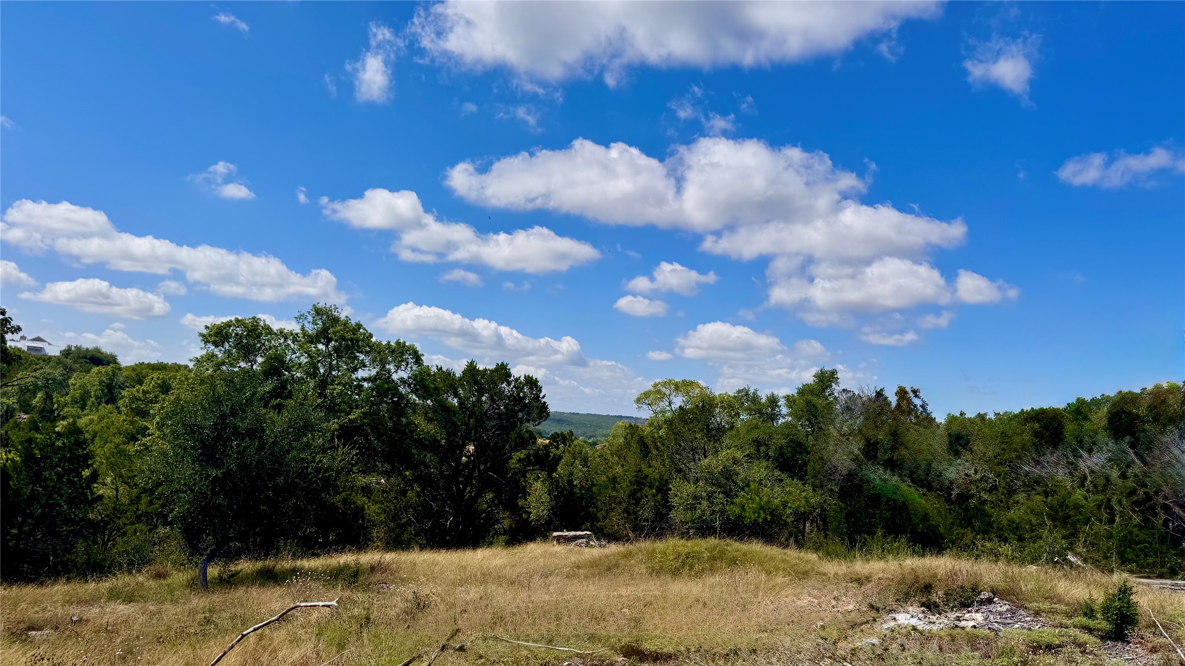 242 Landons Way Georgetown, TX 78633 - Photo 27 of 30 An ideal setting for your dream home with verdant trees and sweeping views.