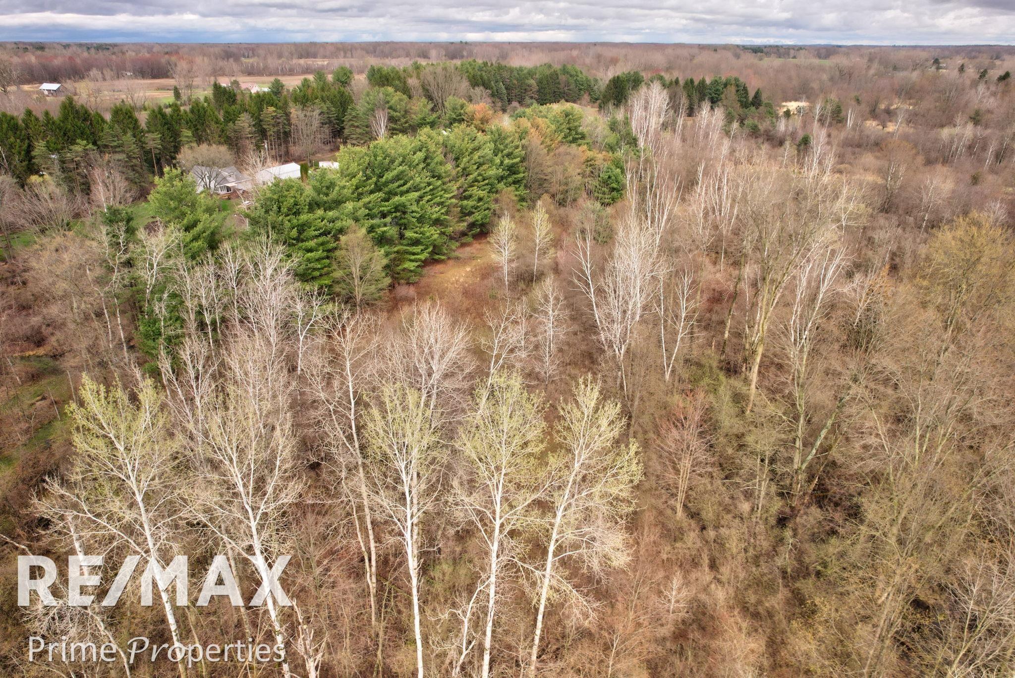 0 South Plain Road Caro, MI 48723 - Photo 16 of 19