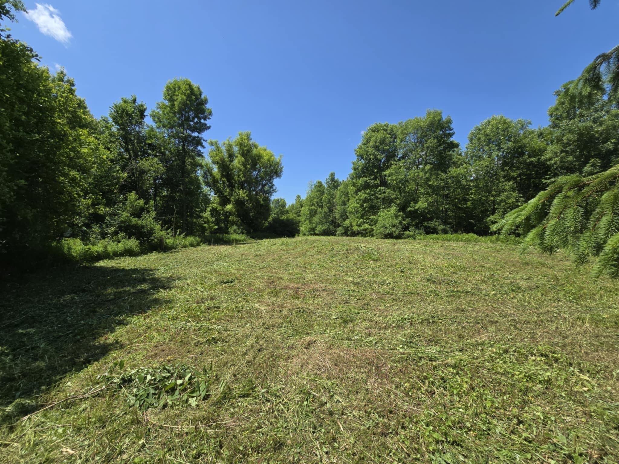 0 Broad Road Brushton, NY 12916 - Photo 2 of 9 b