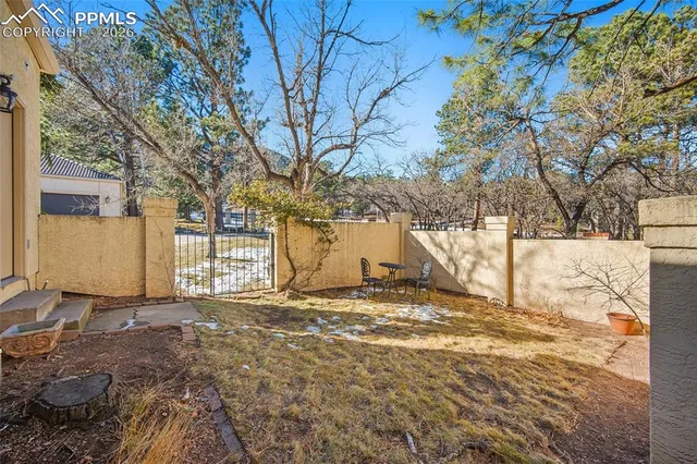 a view of a yard with large trees