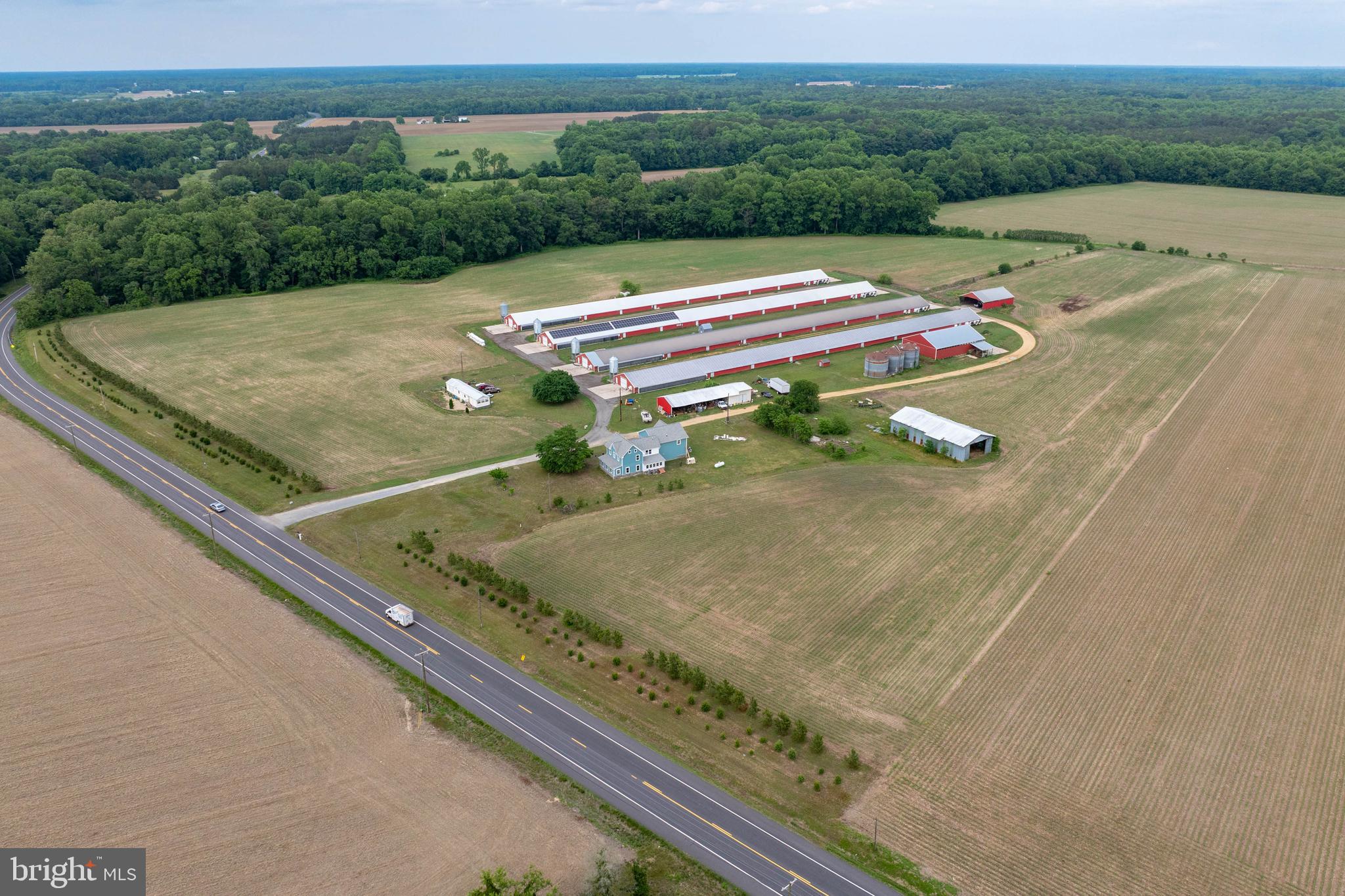 7347 Harmony Road Preston, MD 21655 - Photo 13 of 63 Aerial View of Farm & House
