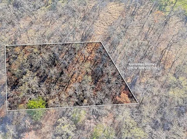 a view of a dry yard