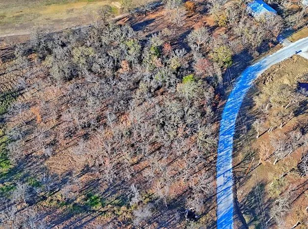 a view of a dry yard with lots of bushes