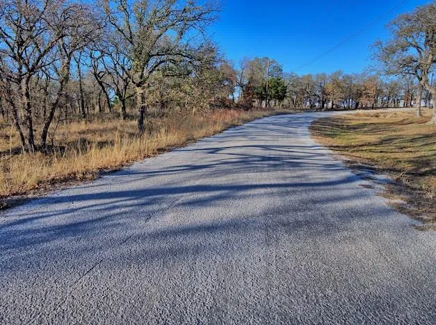 a view of a yard lake and tree in the background
