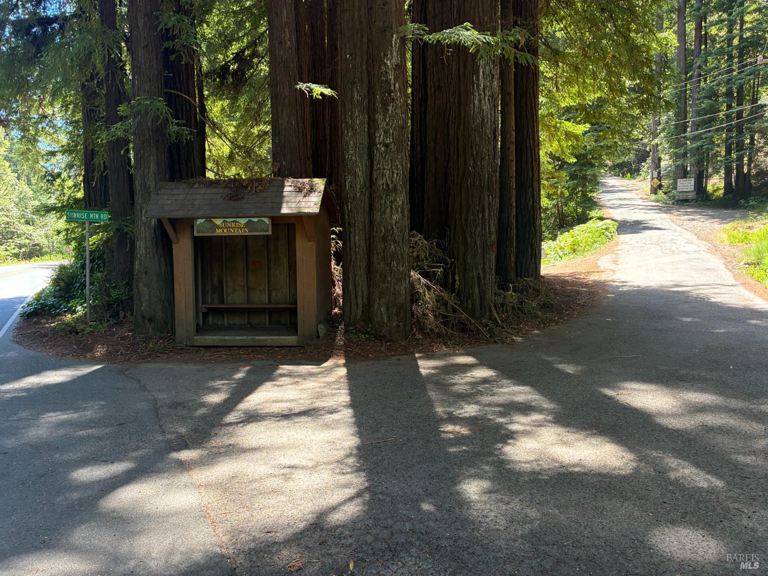 30 Sunrise Mountain Road Cazadero, CA 95421 - Photo 6 of 12 a backyard of a house with table and chairs