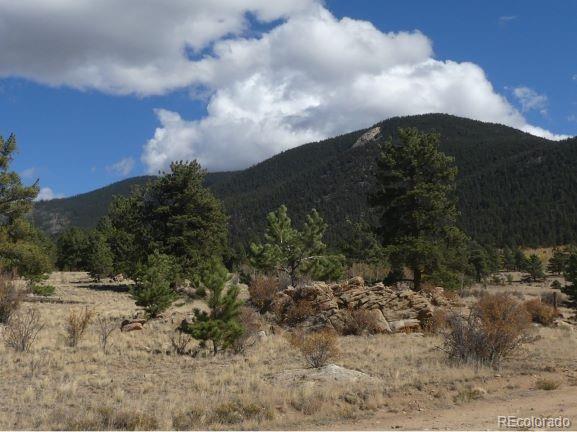 7223 Boulder Road Lake George, CO 80827 - Photo 16 of 17 a view of a bunch of trees