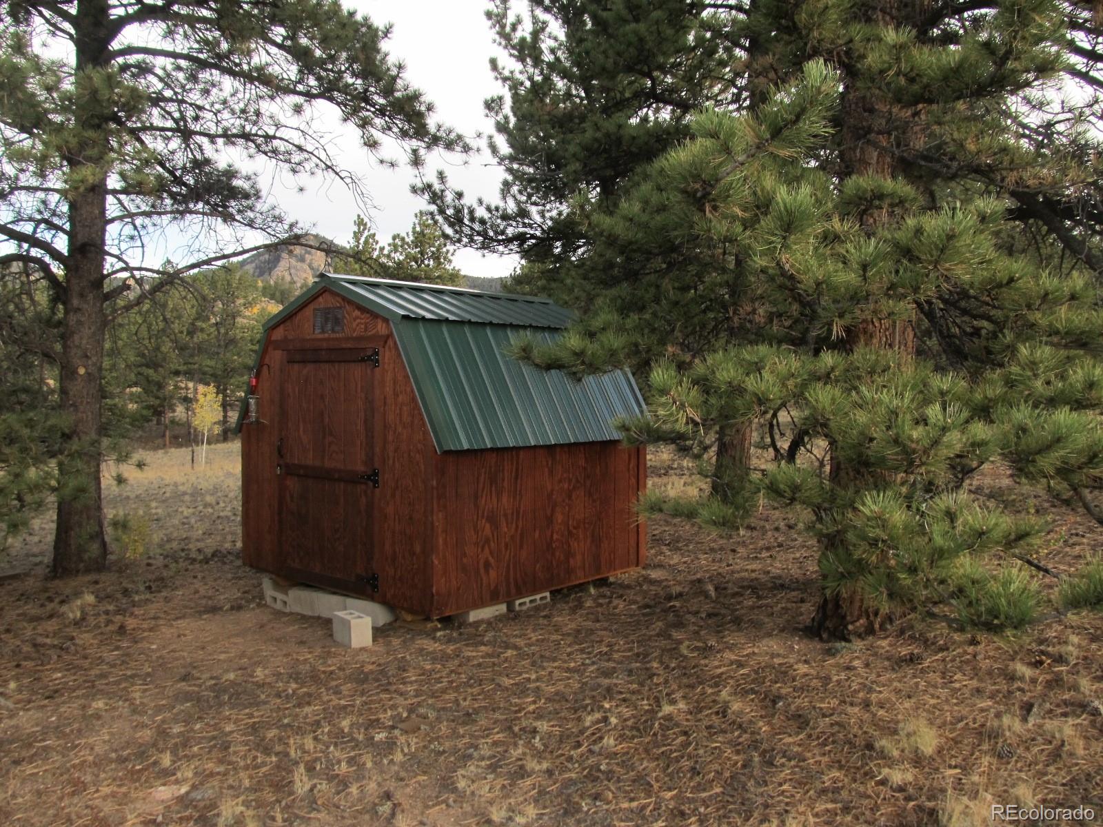 7223 Boulder Road Lake George, CO 80827 - Photo 8 of 17 a view of backyard with green space