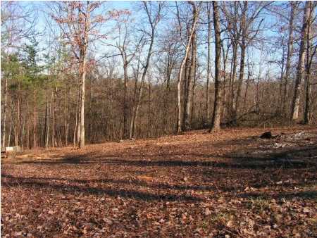 409 Stone Hill Road, Unit 5 Mammoth Cave, KY 42259 - Photo 1 of 1 Primary Photo