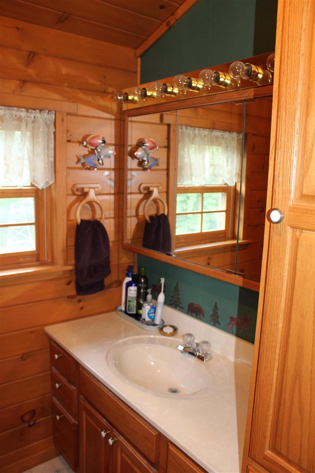 3943 West Main Road Road Stanton, MI 48888 - Photo 43 of 47