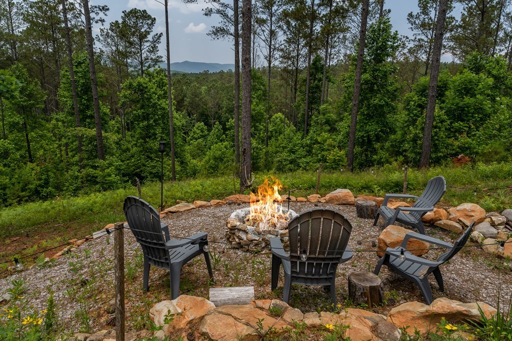 230 High River Road Ellijay, GA 30540 - Photo 19 of 27 a view of a chairs and table in patio