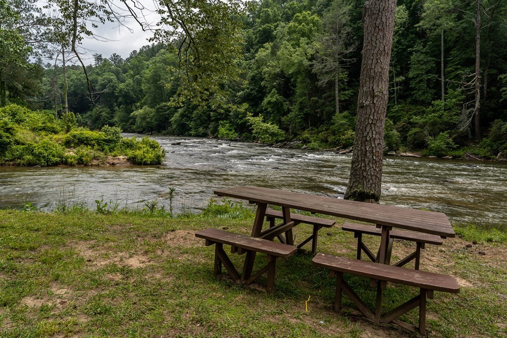 230 High River Road Ellijay, GA 30540 - Photo 22 of 27 a view of a bench in the garden