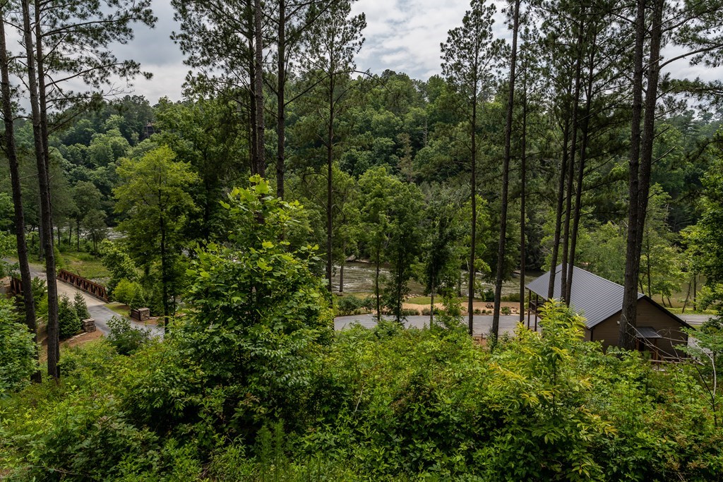 230 High River Road Ellijay, GA 30540 - Photo 23 of 27 a view of outdoor space and trees