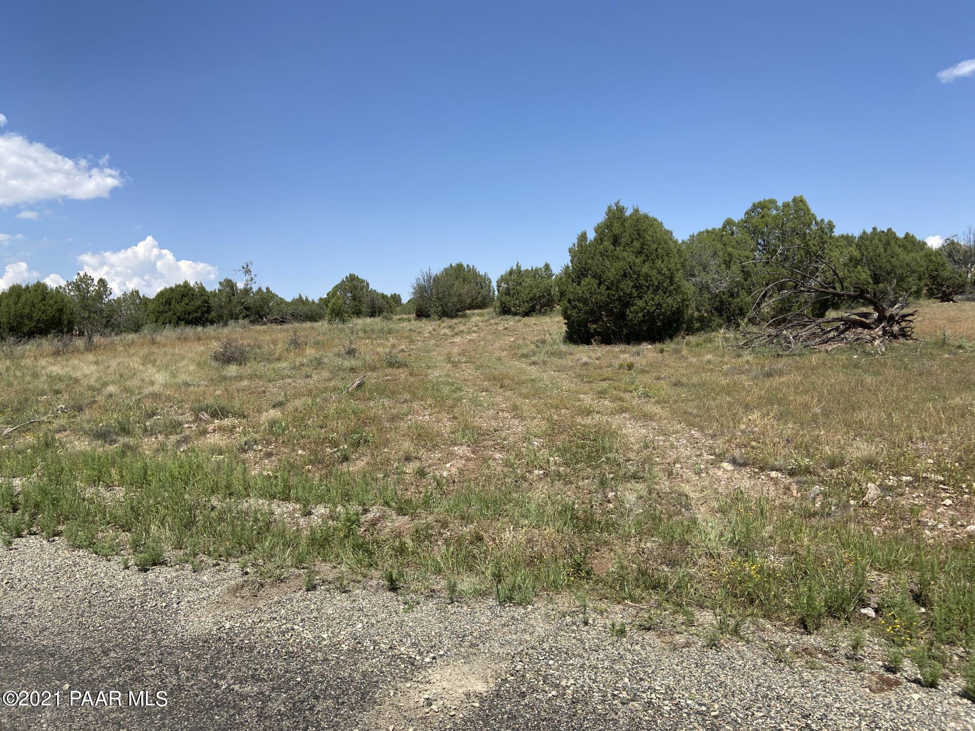 0 West Rambling Road Prescott, AZ 86305 - Photo 11 of 15 a view of mountain